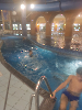 basen_11